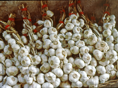 Garlic