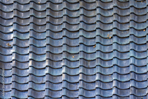 blue tile roof
