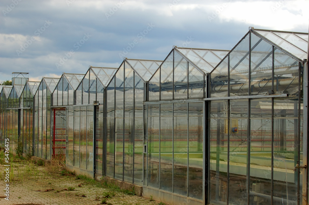 Greenhouse building with glass front and structure