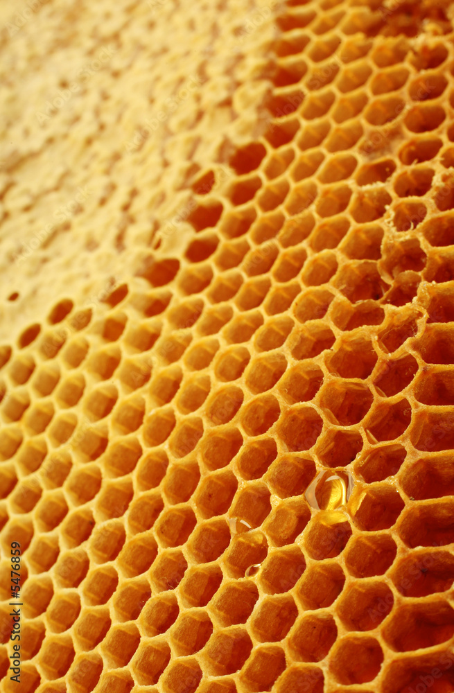 Yellow honeycomb wax cell detail texture background Yellow honeycomb wax cell detail texture background
