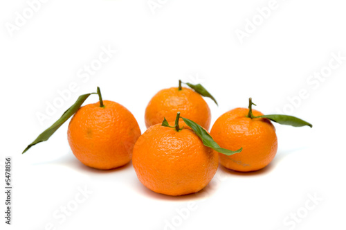 Tangerines