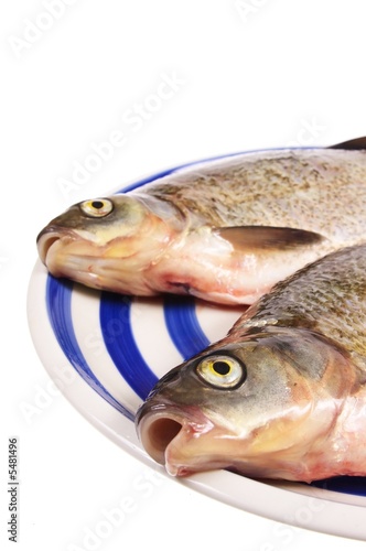 dead fishes on plate isolated on white