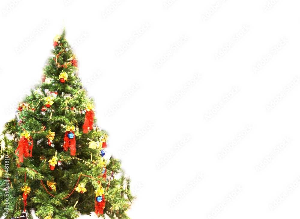 Weihnachtsbaum 8 Weihnachtsbaum 8