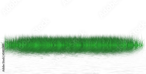 Island of a juicy green grass