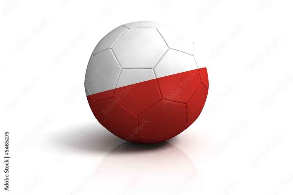 fussball polen - obrazy, fototapety, plakaty 