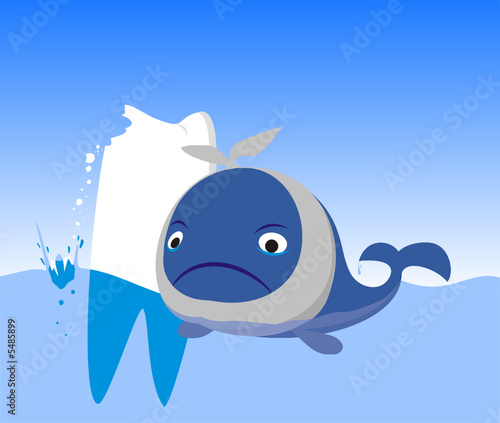 caries stomatology whale