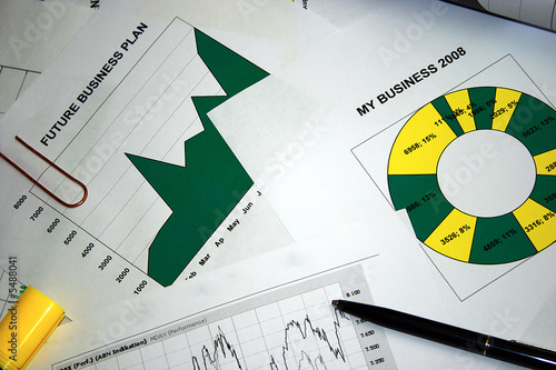 Business Plans 2008