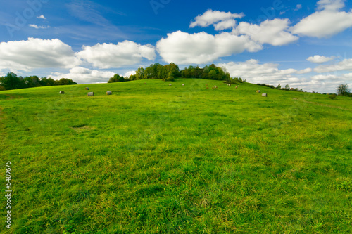 Green grass and the blue sky