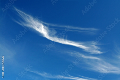 cirrus cloud photo