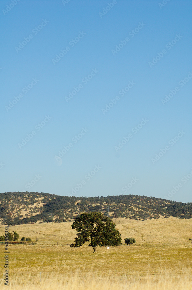 Obraz premium Outside