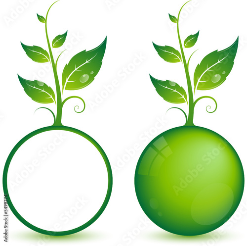 Bille verte à feuilles, image vectorielle