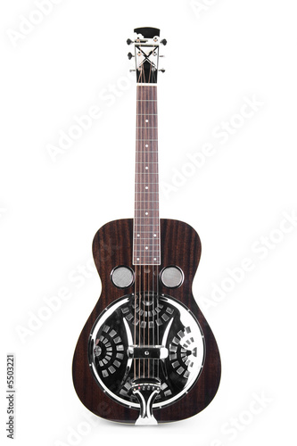 acoustic/electric guitar dobro style