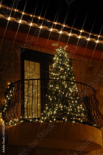 christmas tree in window