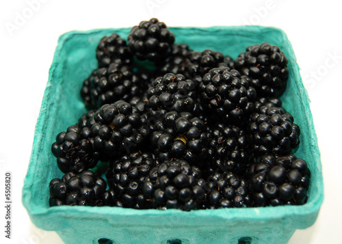 a pint of organic blackberries still in their container