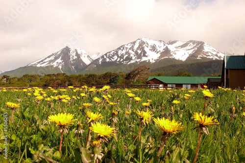 the view outside a hotel in ushuaia, argentina.