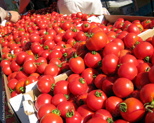 dry farmed early girl tomatoes at the sf farmer's market