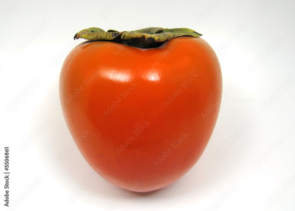 single organic hachiya persimmon isolated on white. single organic hachiya persimmon isolated on white.