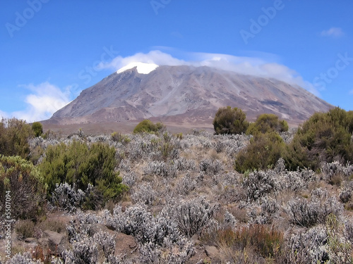 a view of mount kilimanjaro from the marangu route.