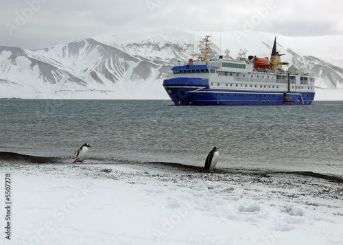 penguins watching tourist ship in antarctica.