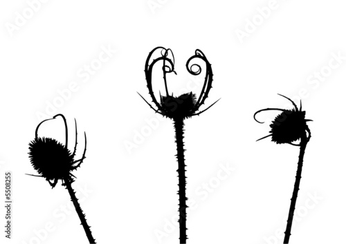 Prickle silhouette