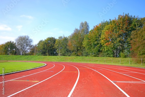 Runners racetrack going left, surrounded by trees