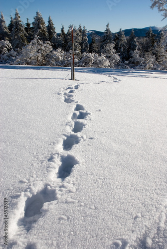 Fußspuren im Schnee