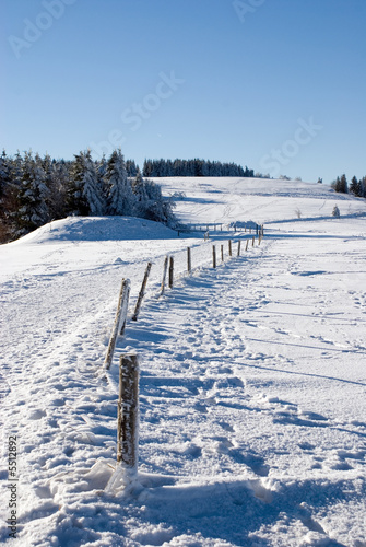 Weg mit Zaun