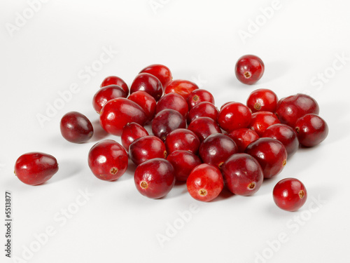 Preiselbeeren / Cranberries