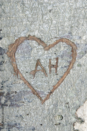 AH-Heart