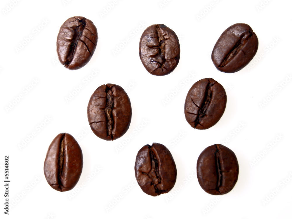 kaffee bohnen kaffee bohnen