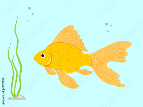 goldfish with aquaplant