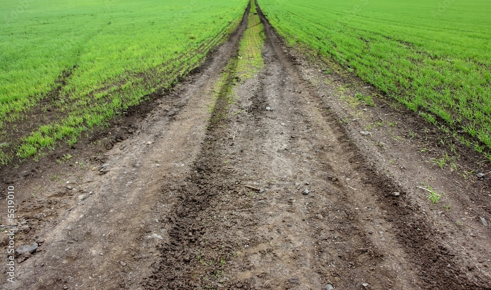country road