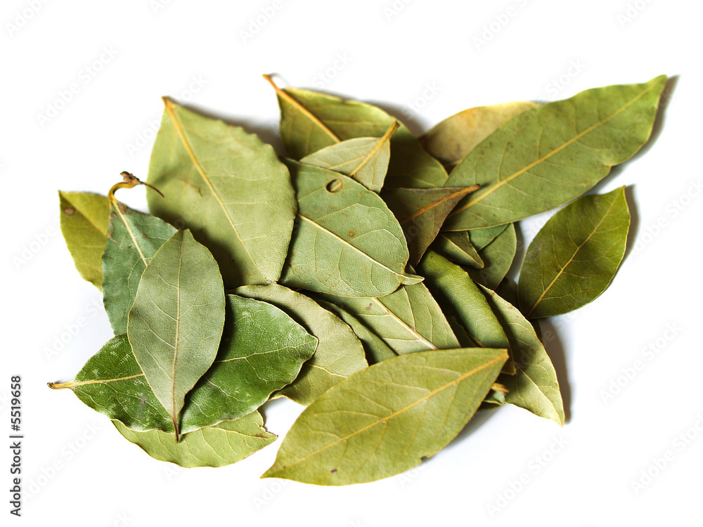macro bay leaves spice for cooking isolated on a white macro bay leaves spice for cooking isolated on a white