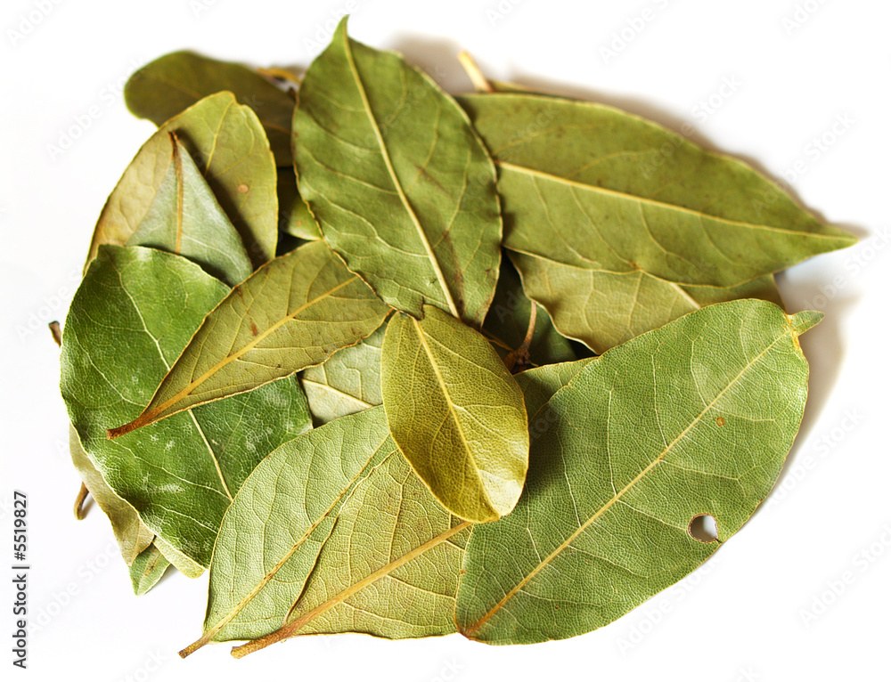 macro bay leaves spice for cooking isolated on a white macro bay leaves spice for cooking isolated on a white