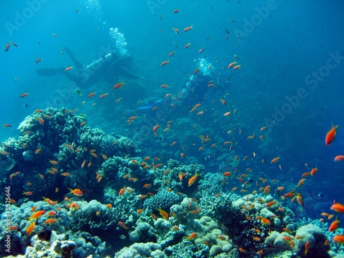 Korallenriff mit Taucher © Hennie Kissling