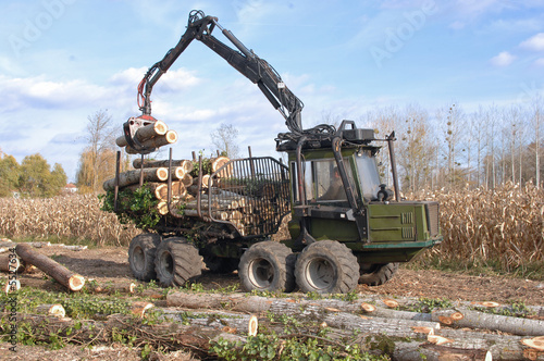 travaux forestier photo