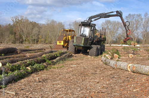 travaux forestier photo