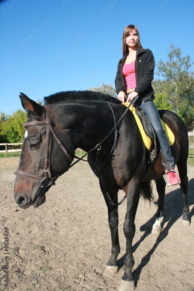 female equestrian in saddle of black stallion female equestrian in saddle of black stallion