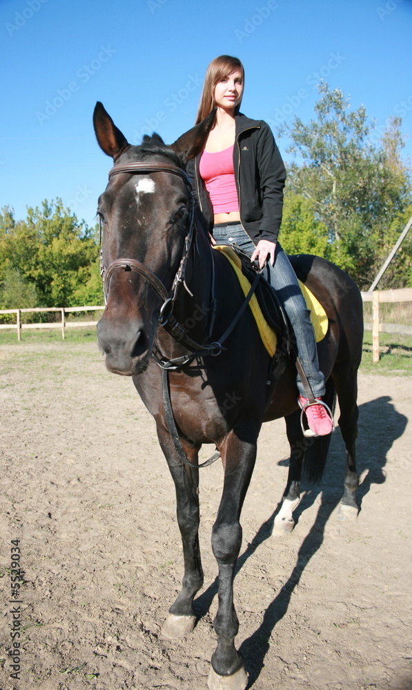 female equestrian in saddle of black stallion female equestrian in saddle of black stallion