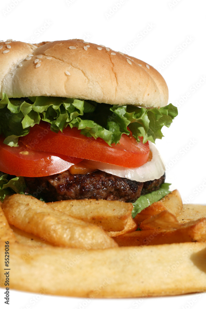 Hamburger and Fries Hamburger and Fries