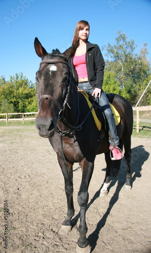 female equestrian in saddle of black stallion
