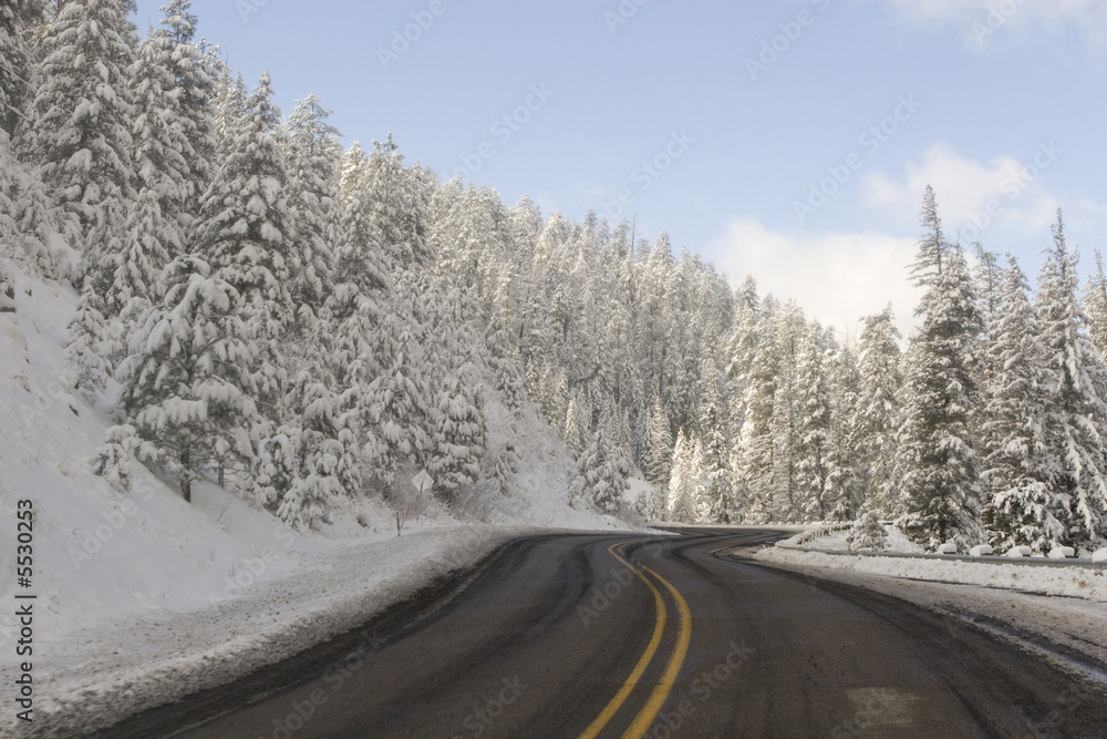 Wintry Roadway