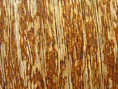 Wood grain pattern close up.