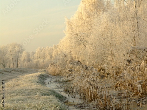 Bernsteinsee 03