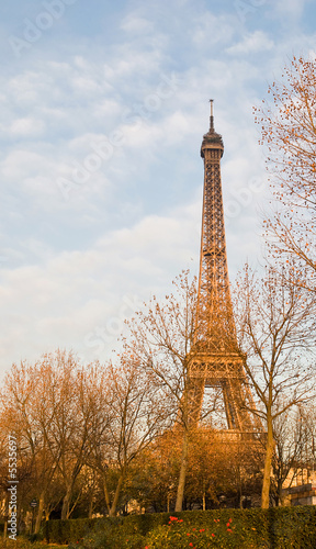 The Eiffel Tower in nightfall - paris France