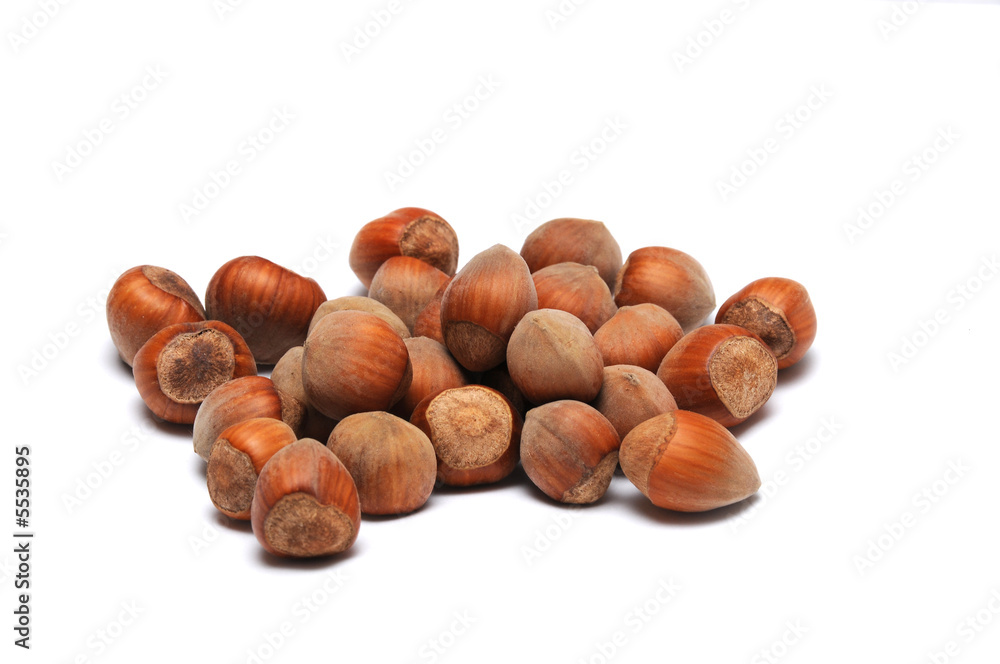 Hazelnuts isolated Hazelnuts isolated