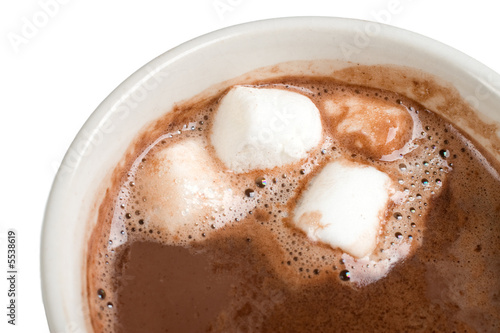 Cup of hot chocolate with mini marshmallows