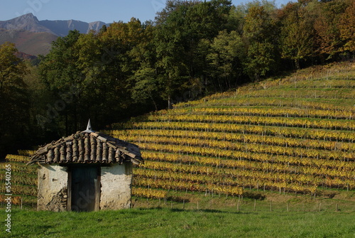 Pays Basque en automne