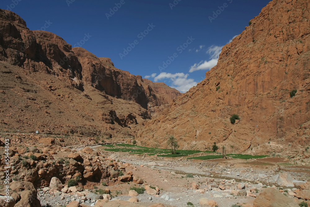 Fototapeta premium Todra george