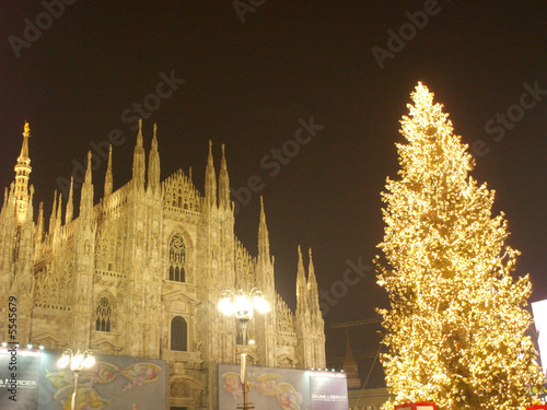 albero di Natale e Duomo